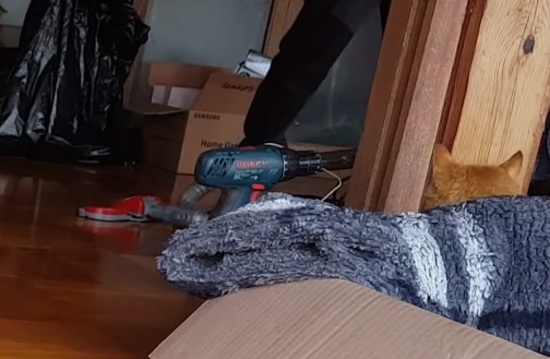 cf41fff01a97d1a4587033ea6d426448aa54837b