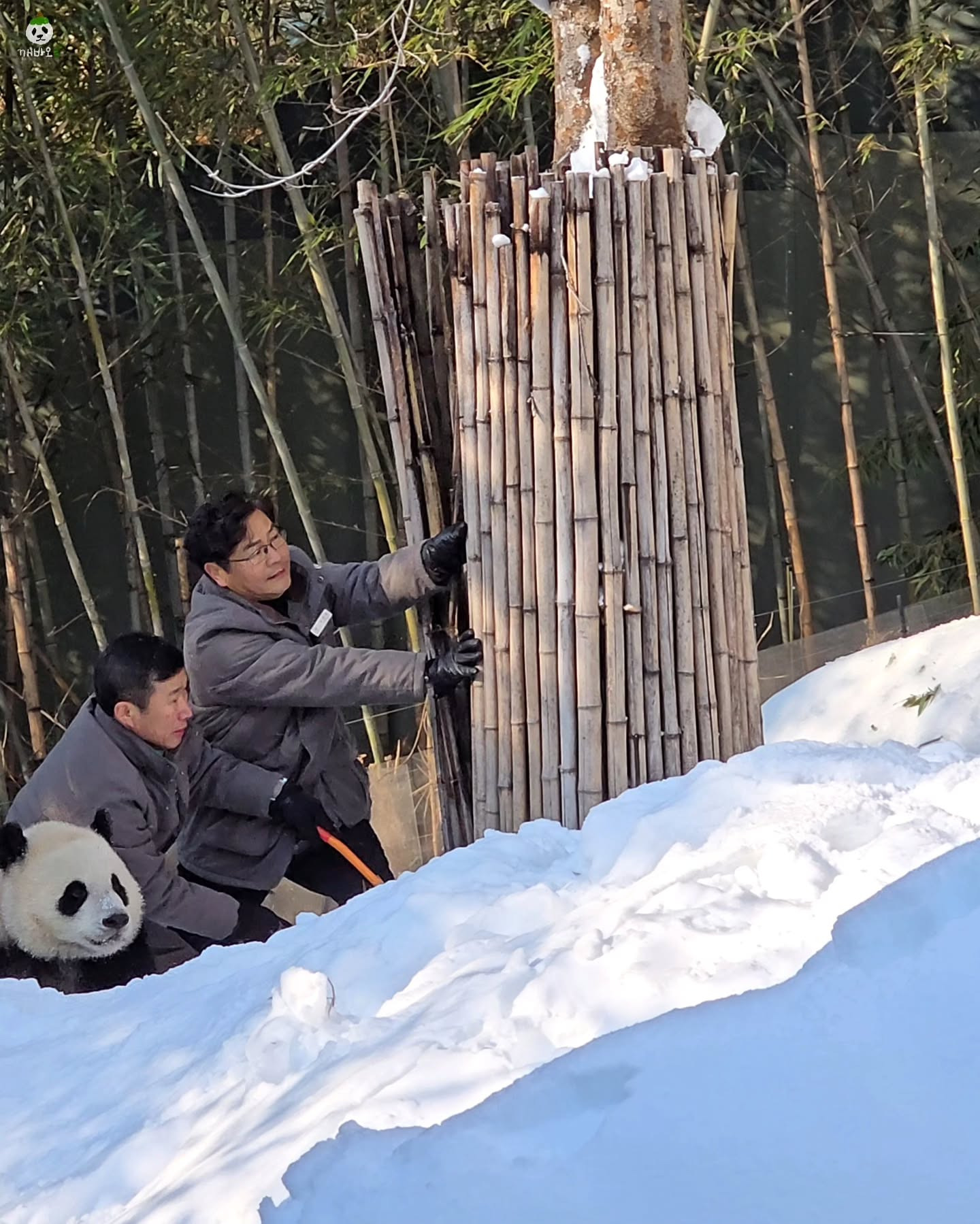 아직도 에버랜드가 판매 안해주는 파우치🐼 | 인스티즈