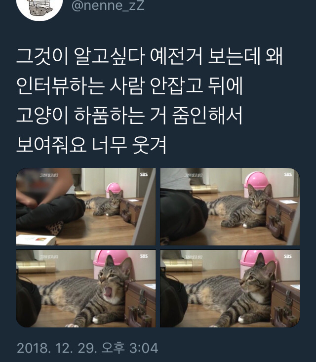 당신은...태어난 사람.twt | 인스티즈