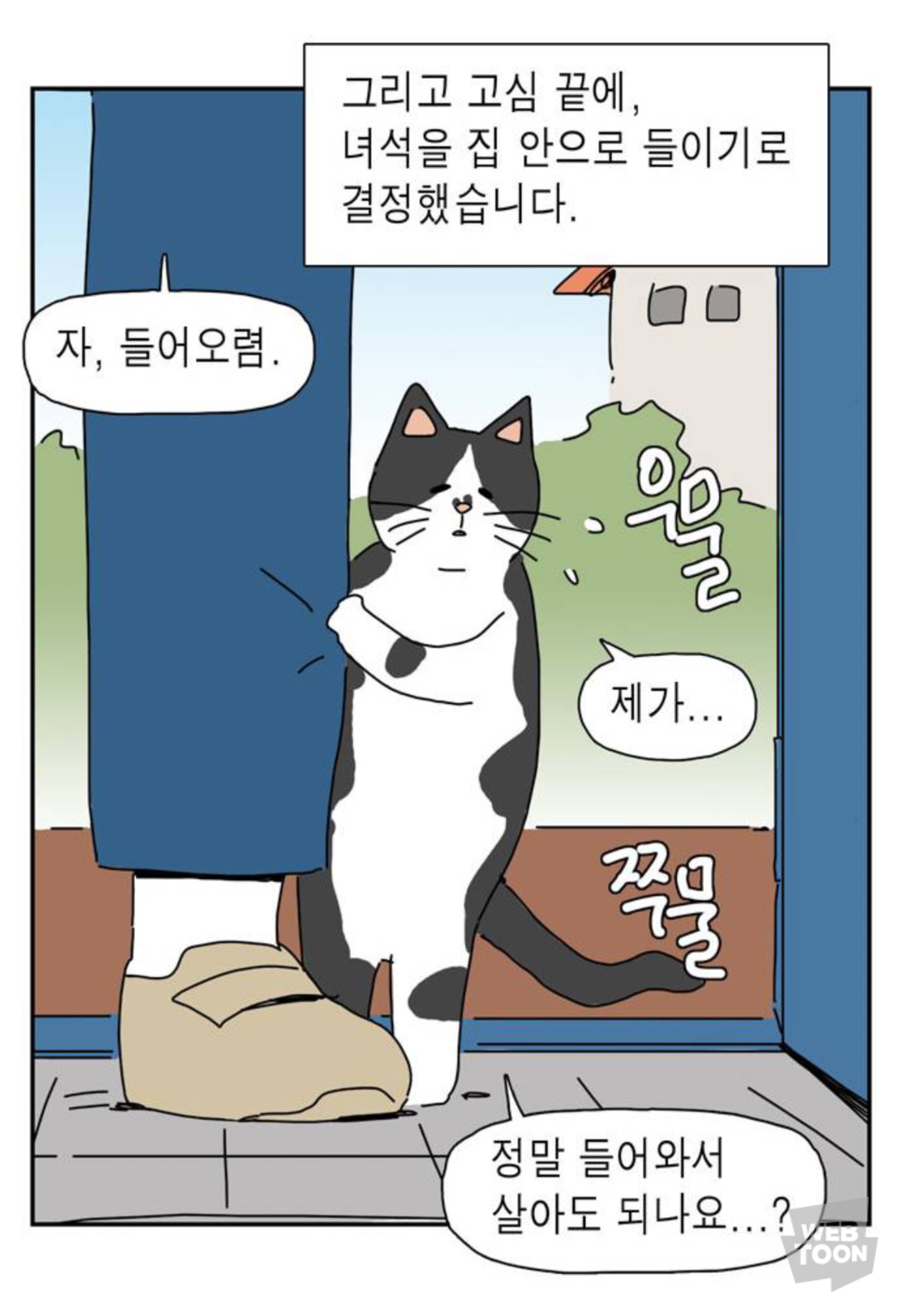 길냥이 입양한 좀비딸 작가 근황 | 인스티즈