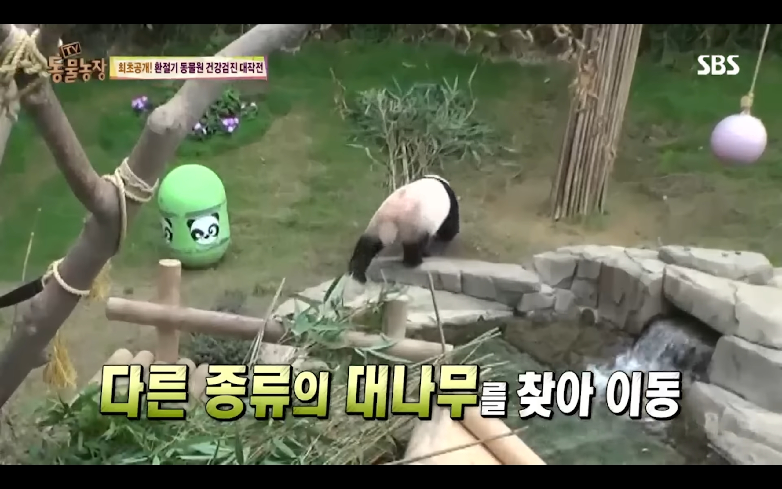 d86d455554a75cfd0026bdeace88168ca5fccc06