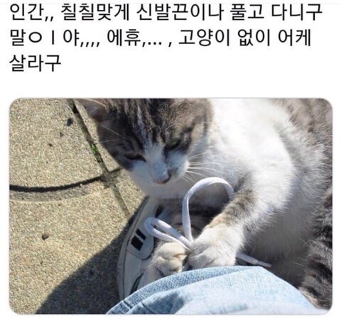 당신은...태어난 사람.twt | 인스티즈
