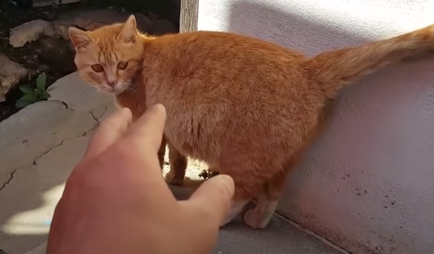 e055ad947e5c079c7bd05ad20e3c70ebcee84dbd