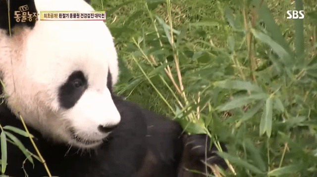 e1a16d2ae74e8a02283f22a37a014111ff35e5ca