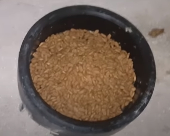 e379617febe0ca8e10f8b317672386f37f7ca12e