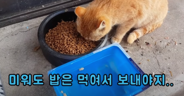 e47cdd33114f4b31a206ab22c5207d77722be852