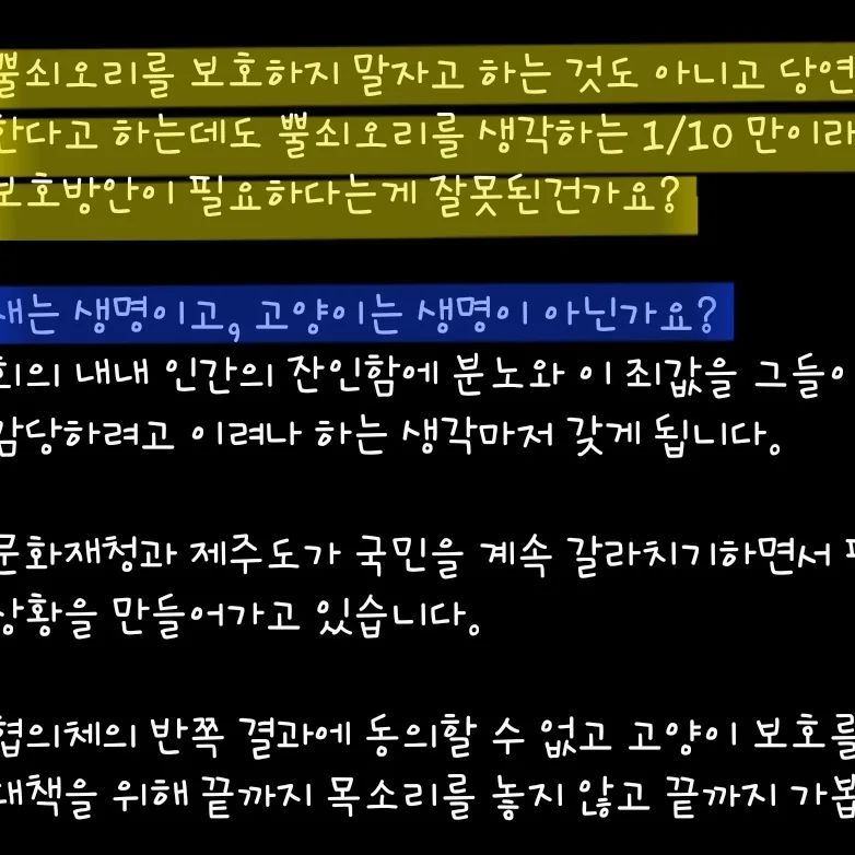 마라도 고양이 2차 회의에서 조류관계자가 고양이는 살처분 해도 되는 존재다 라고 발언 | 인스티즈