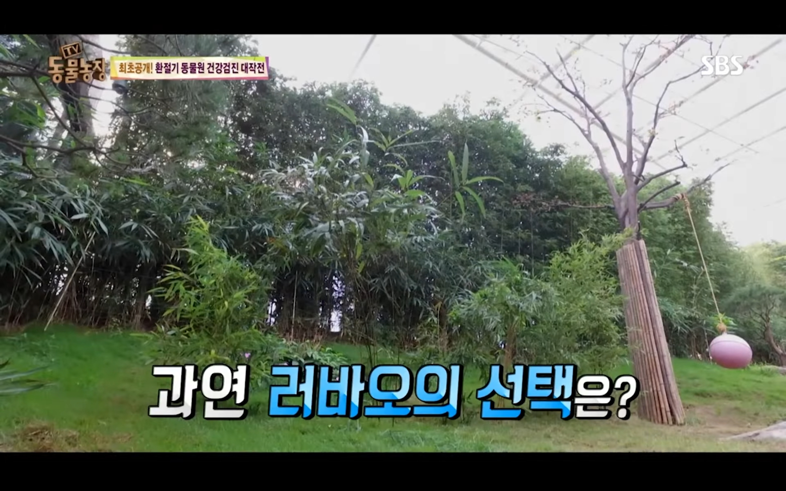 e8b83dd1e64f8a87ef2b33a706a85d142bf0e8cc