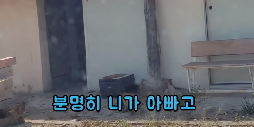 e8fa05b3a4e21c885c262901d4e97864ecf98b8f