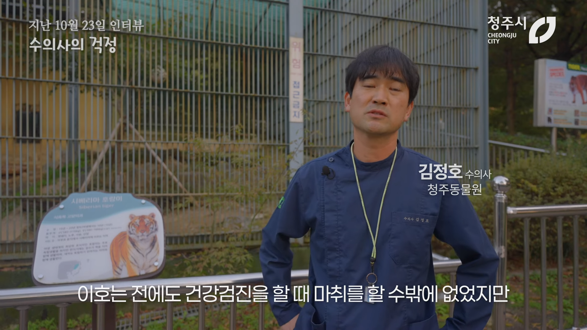 최근 내성발톱 수술한 청주동물원의 순둥이 호랑이 이호.JPGIF | 인스티즈