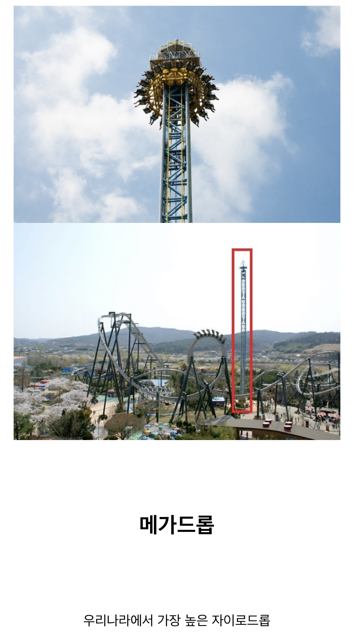위치적 불리함을 개무서운 놀이기구로 찍어누른 국내 놀이공원.jpg | 인스티즈
