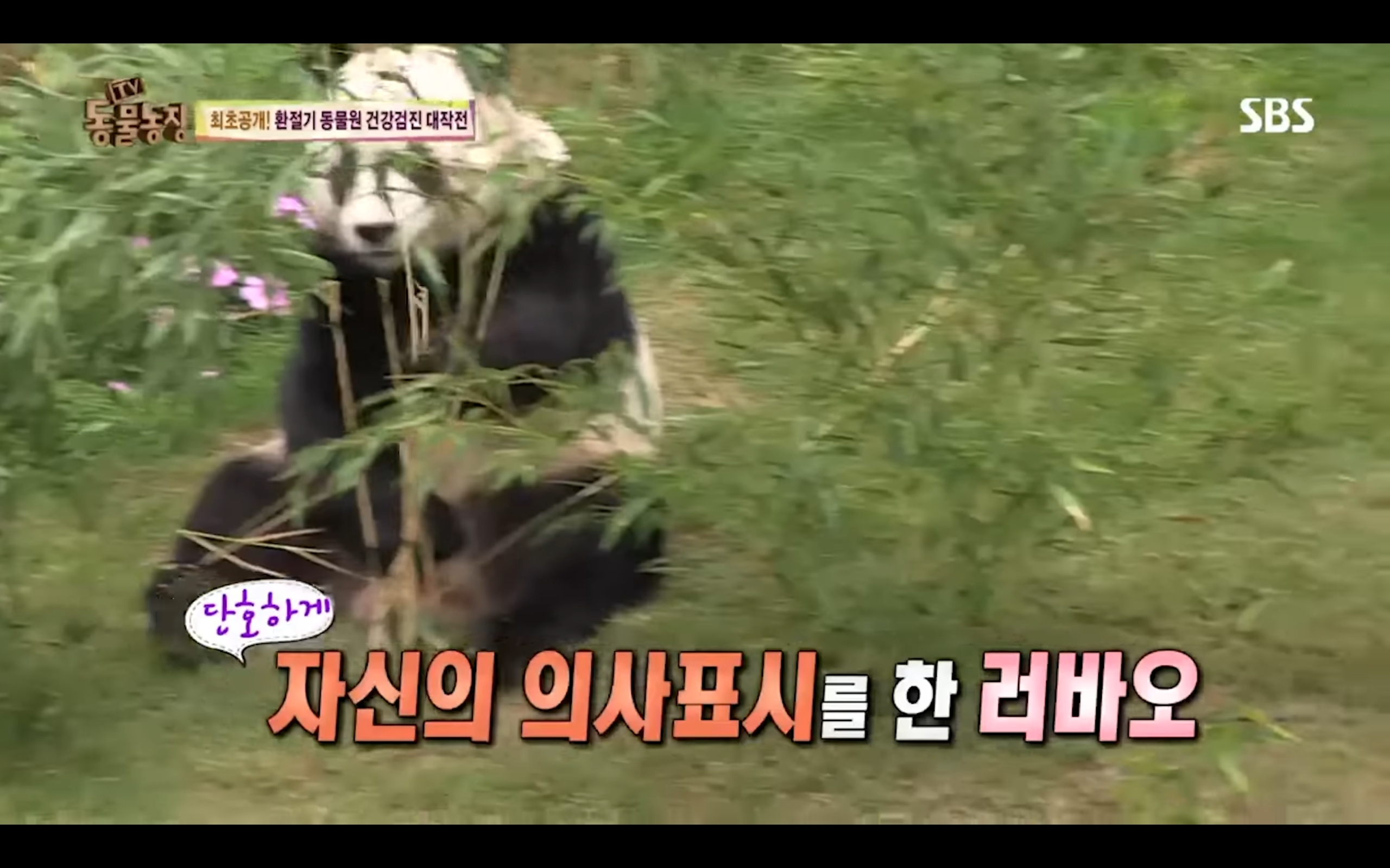 eae80dd2af1de0ba92d0c420147416530e2e8842