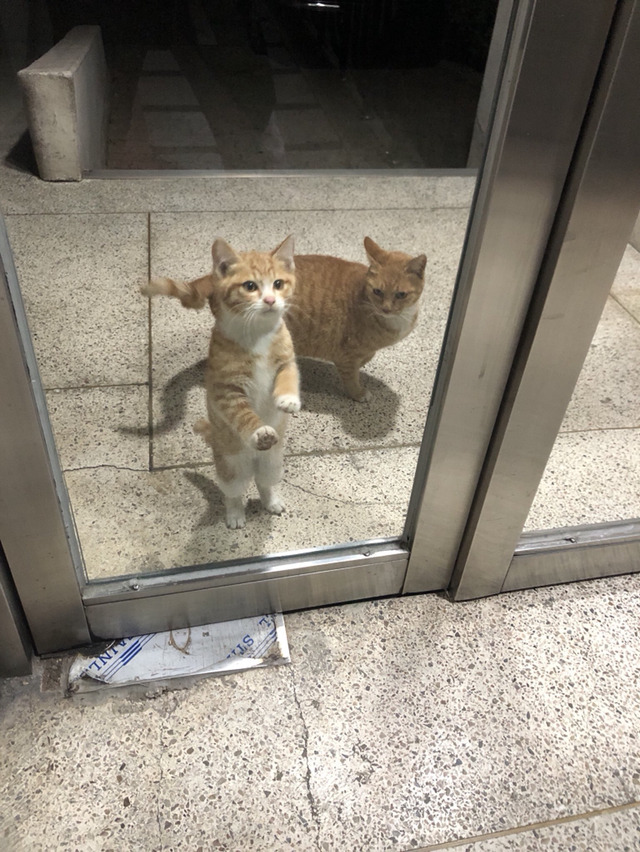 당신은...태어난 사람.twt | 인스티즈