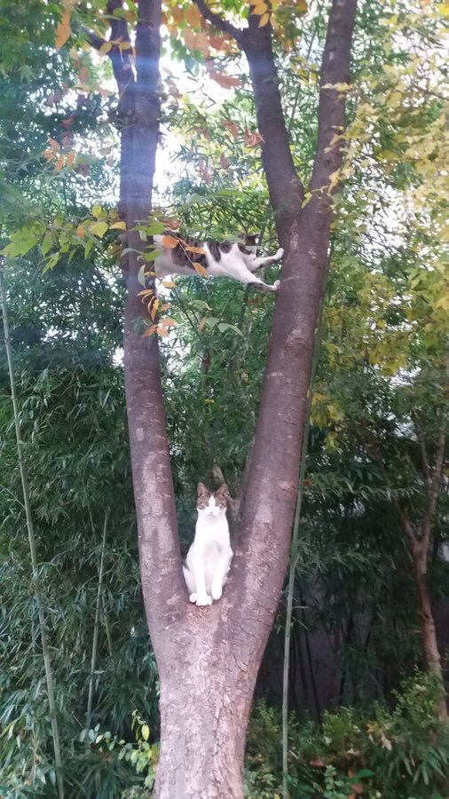 당신은...태어난 사람.twt | 인스티즈