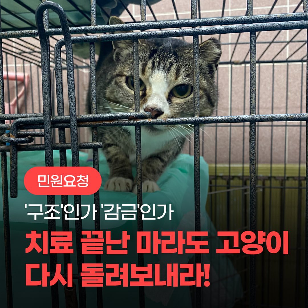 마라도 고양이 2차 회의에서 조류관계자가 고양이는 살처분 해도 되는 존재다 라고 발언 | 인스티즈