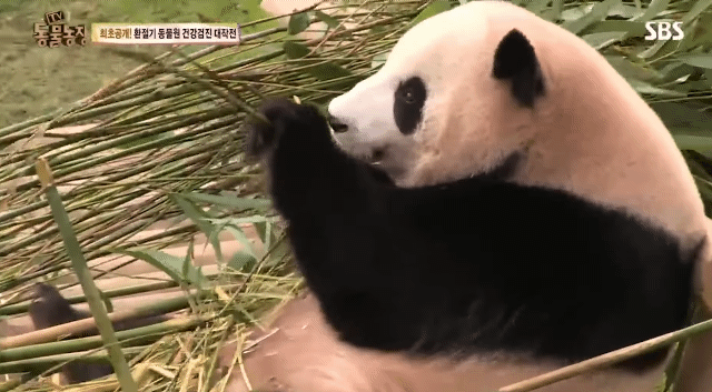 fb1ef32533db756fd4afba506c31c3e39dc0fee3