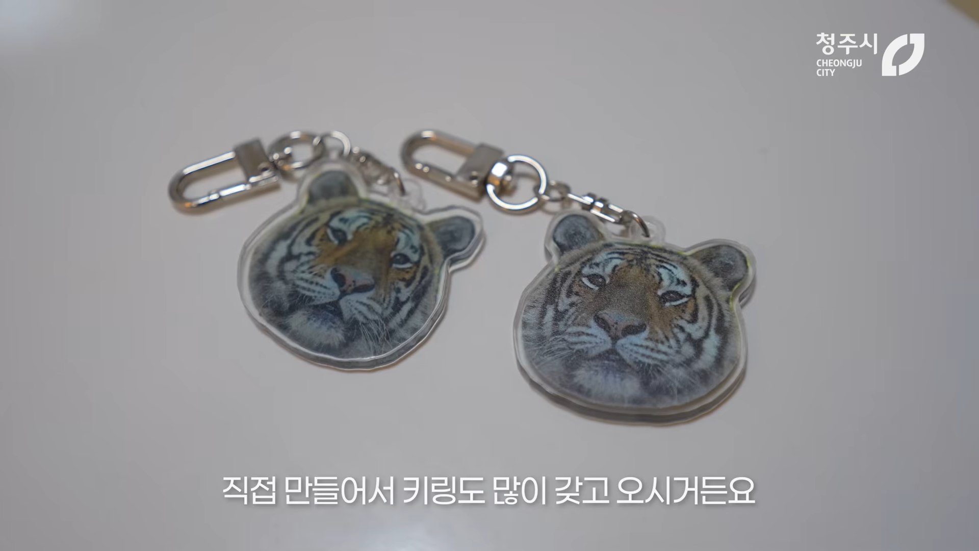 최근 내성발톱 수술한 청주동물원의 순둥이 호랑이 이호.JPGIF | 인스티즈