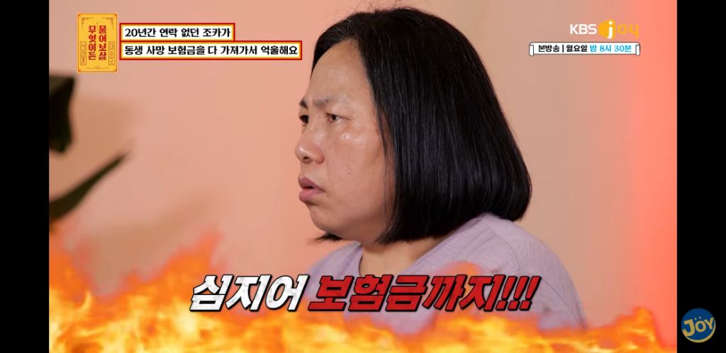 [물어보살] 남동생 사망보험금 독식한 조카 | 인스티즈