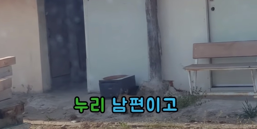 feb316d8209cf2913780ebe94c052d30cca1253d