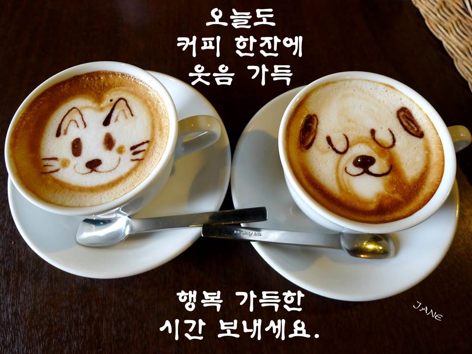 엘가커피 이미지