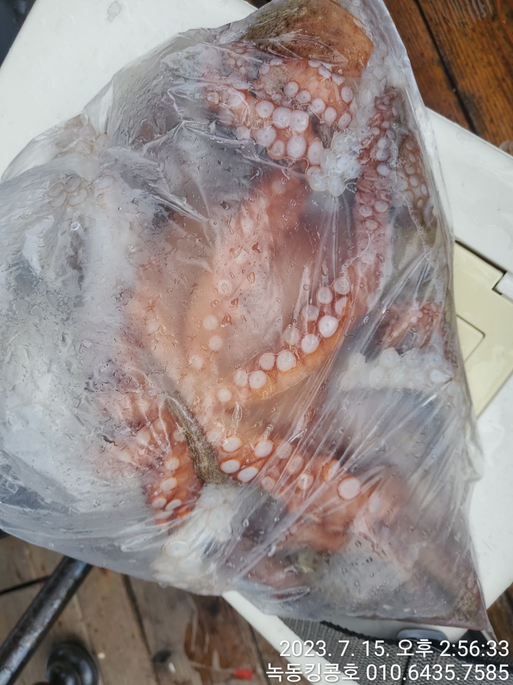 킹콩호 이미지