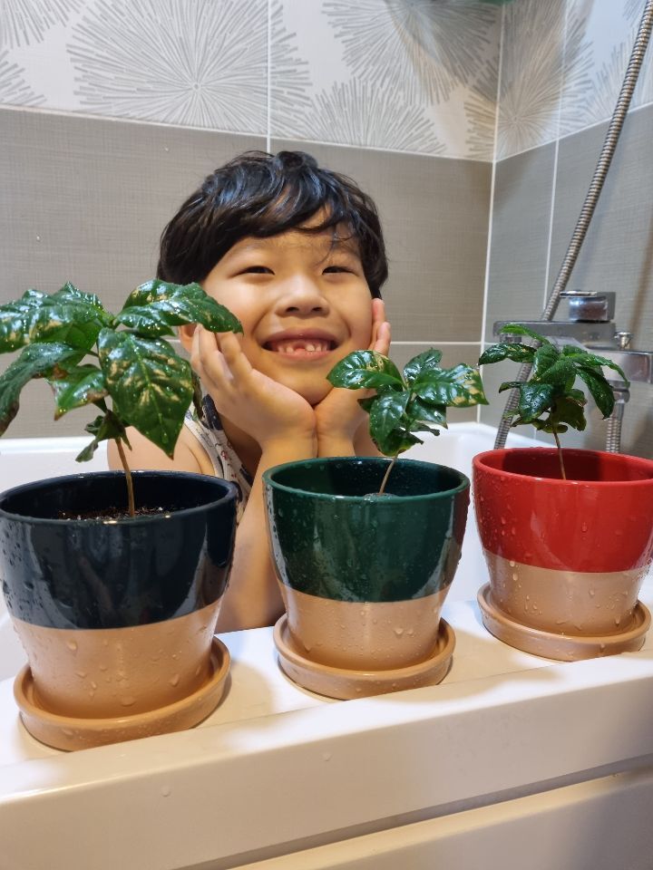 찬이커피 이미지