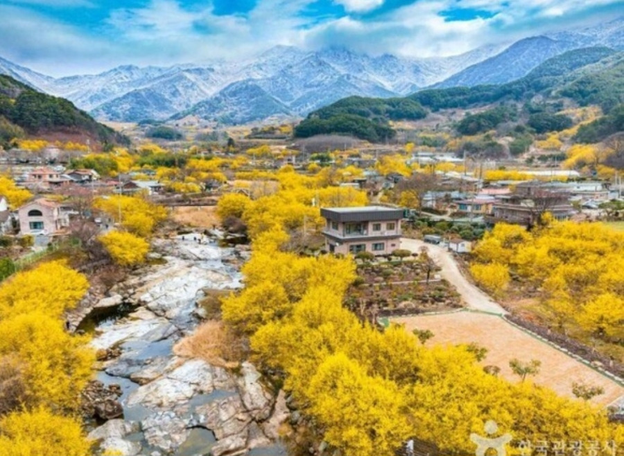 포토존 이미지