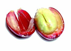 5-커피 이미지