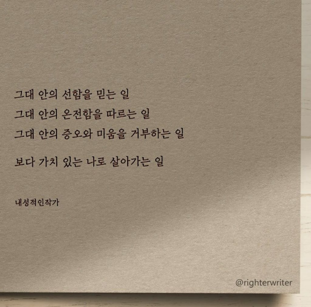 다가치 이미지