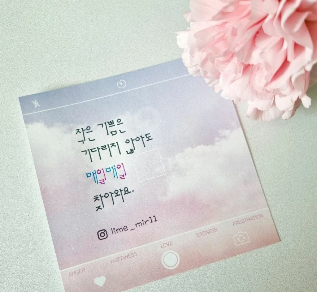 너란, 꽃 이미지