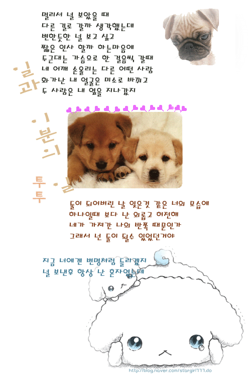 투투 이미지