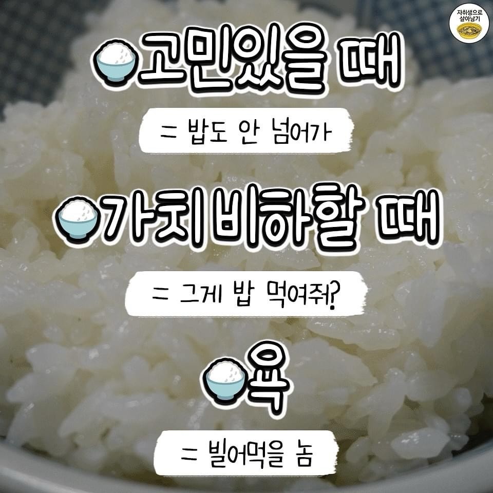밥에 진심 이미지