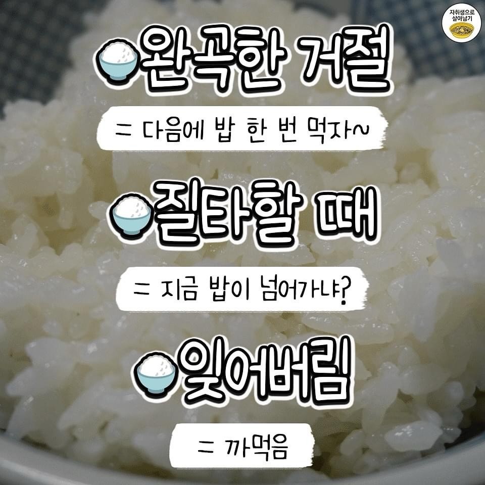 밥에 진심 이미지