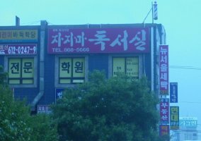 잔비어쓰 이미지