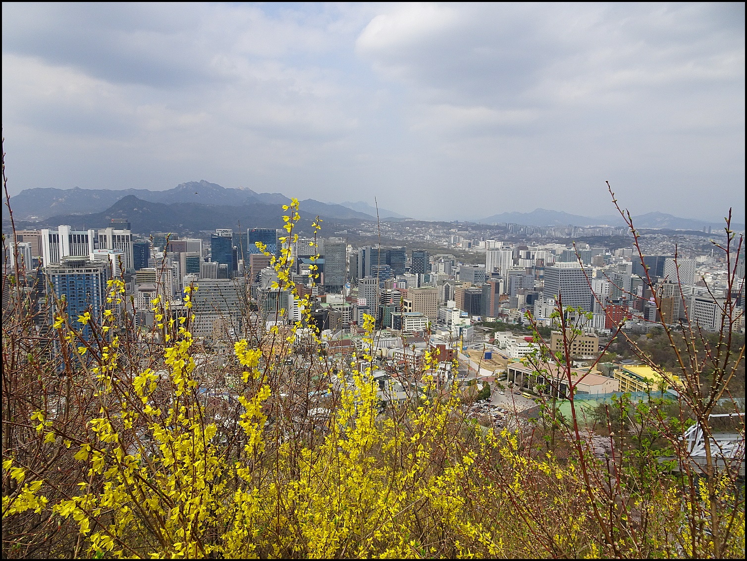 남산 둘레길 - 개인산행/사진 - 광주에코힐링 남산 둘레길