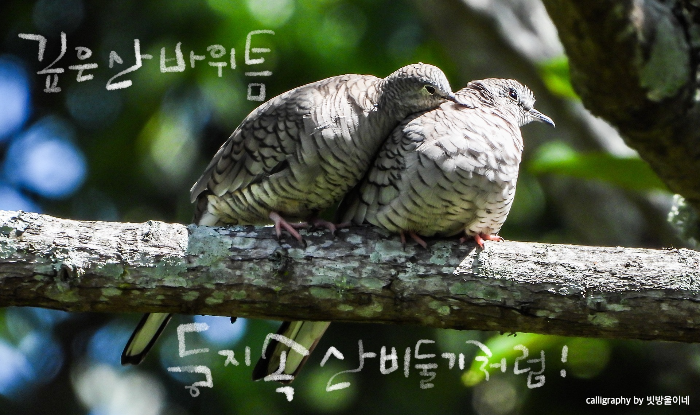 순아 이미지