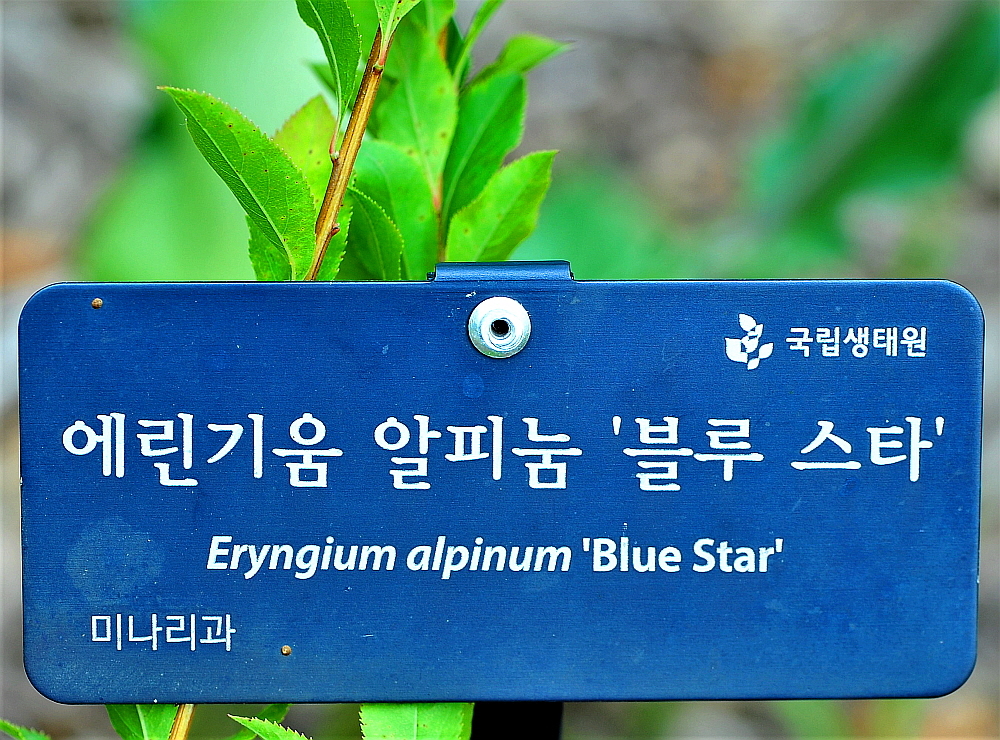 에린 이미지