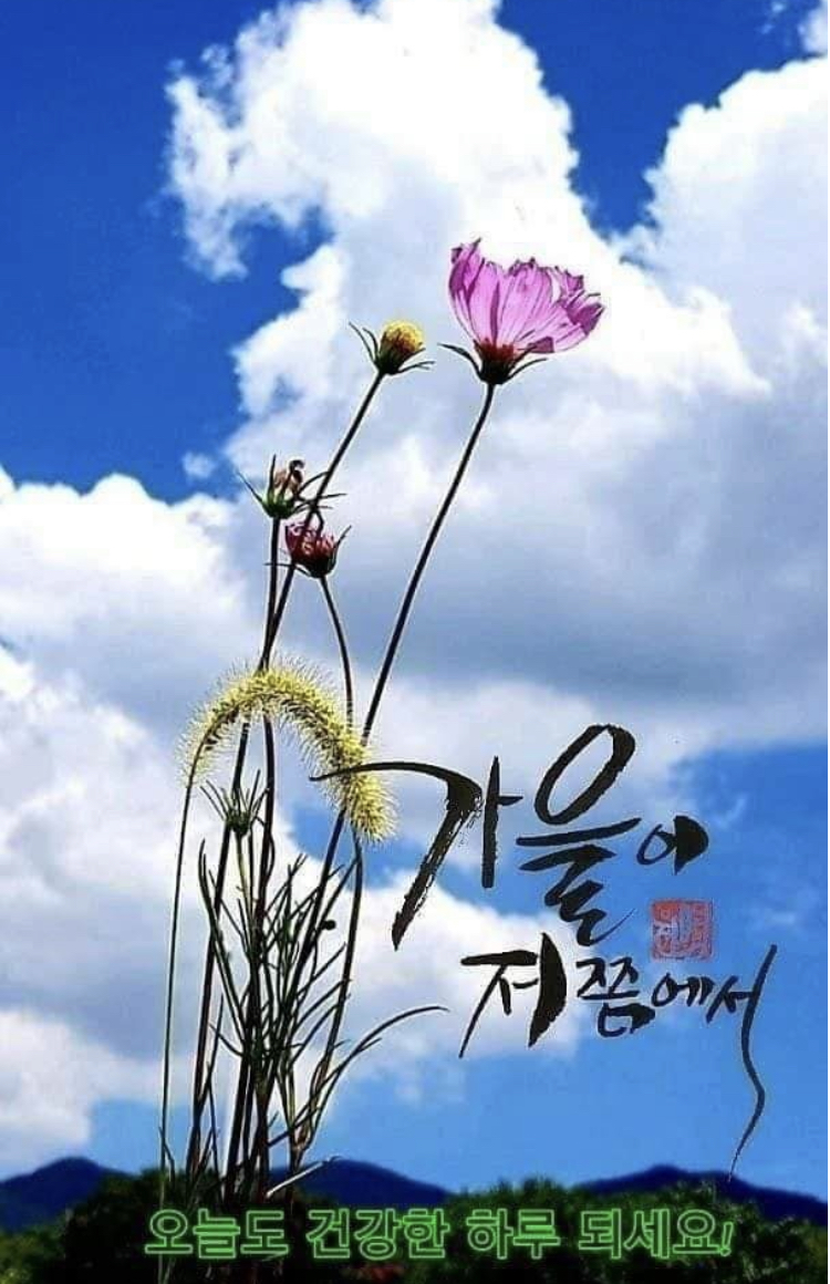 처서 이미지