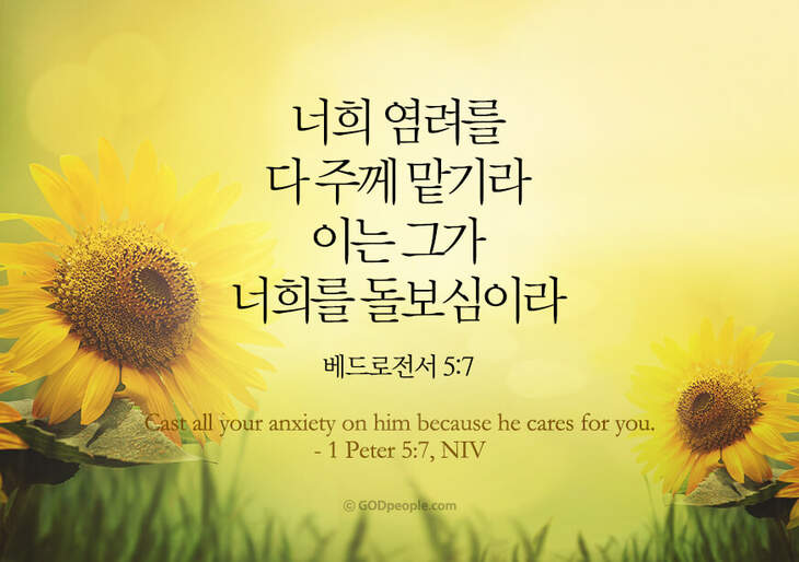 늘푸른세상(주) 이미지