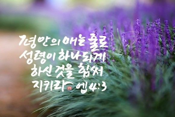 마라나타 이미지