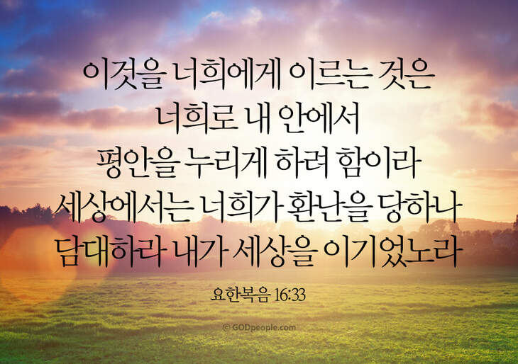 Daum 카페