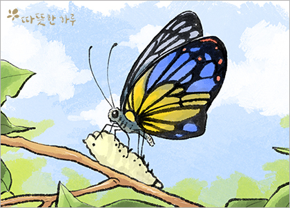 나비나b 이미지