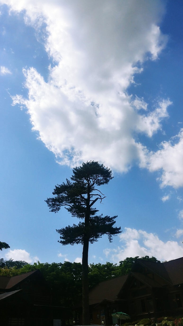 갈비마당 이미지