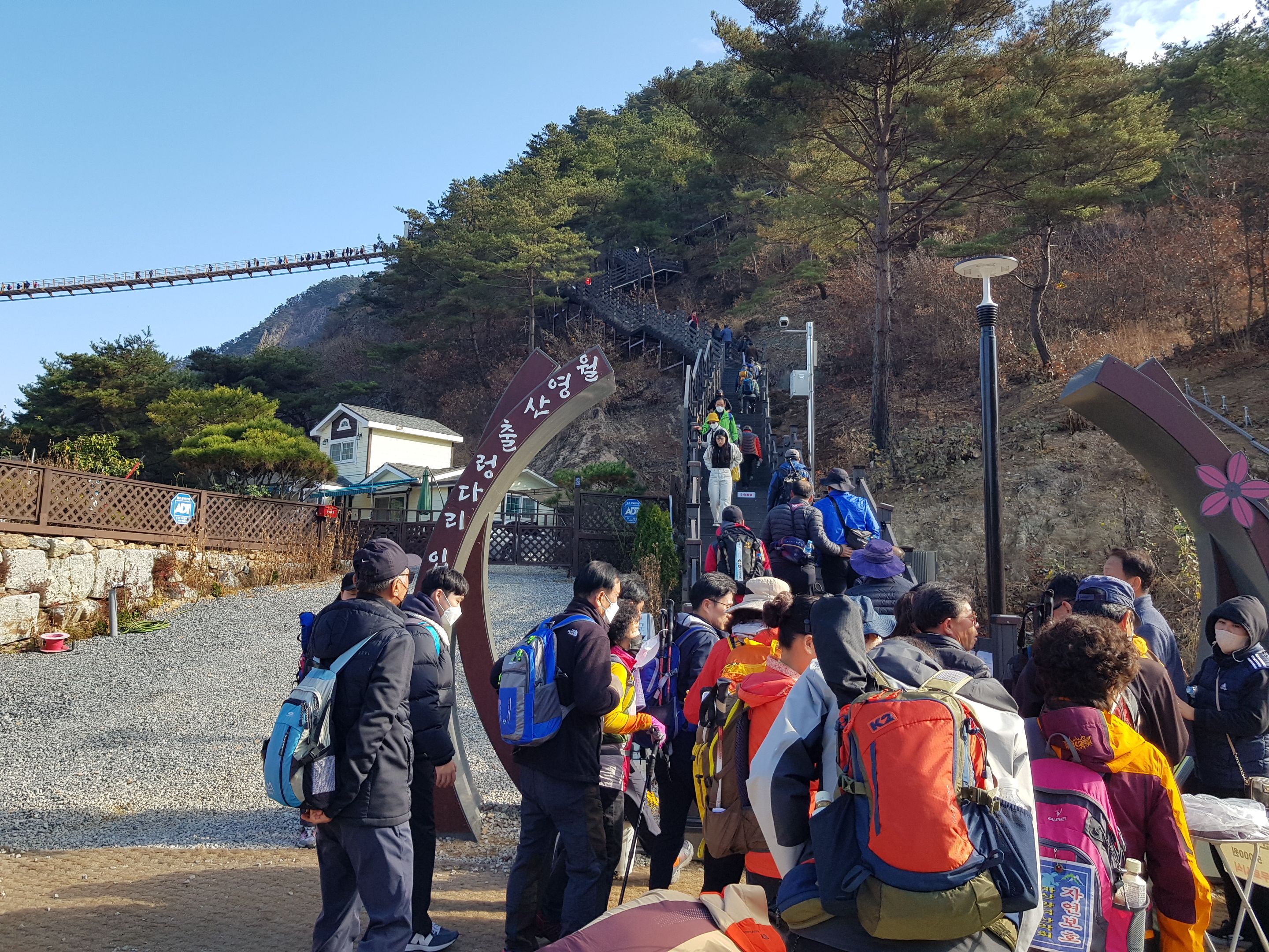 금산수삼센타 이미지