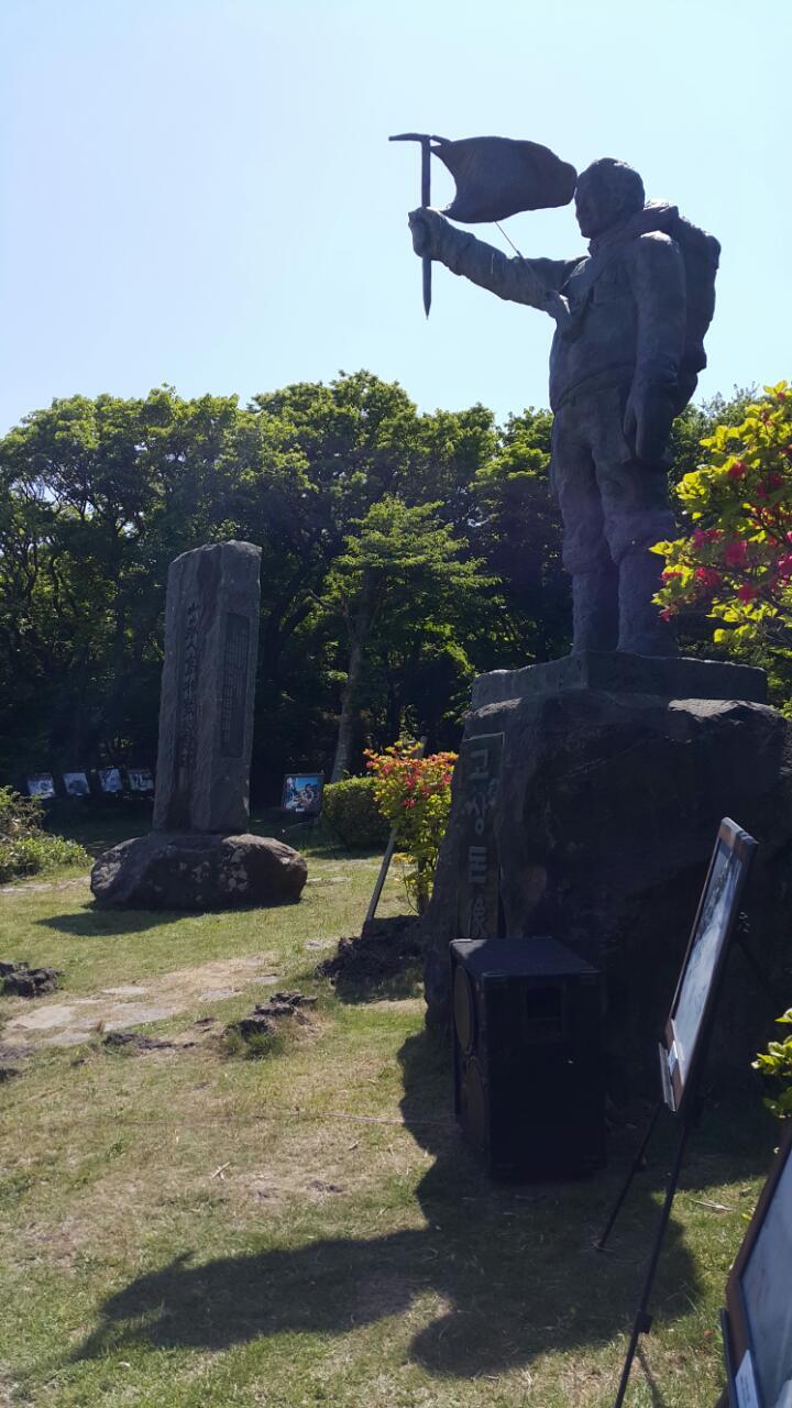 돈추 이미지