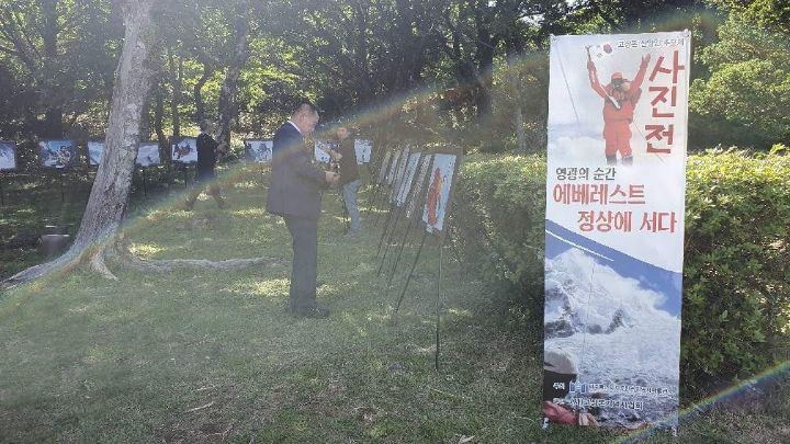 돈추 이미지