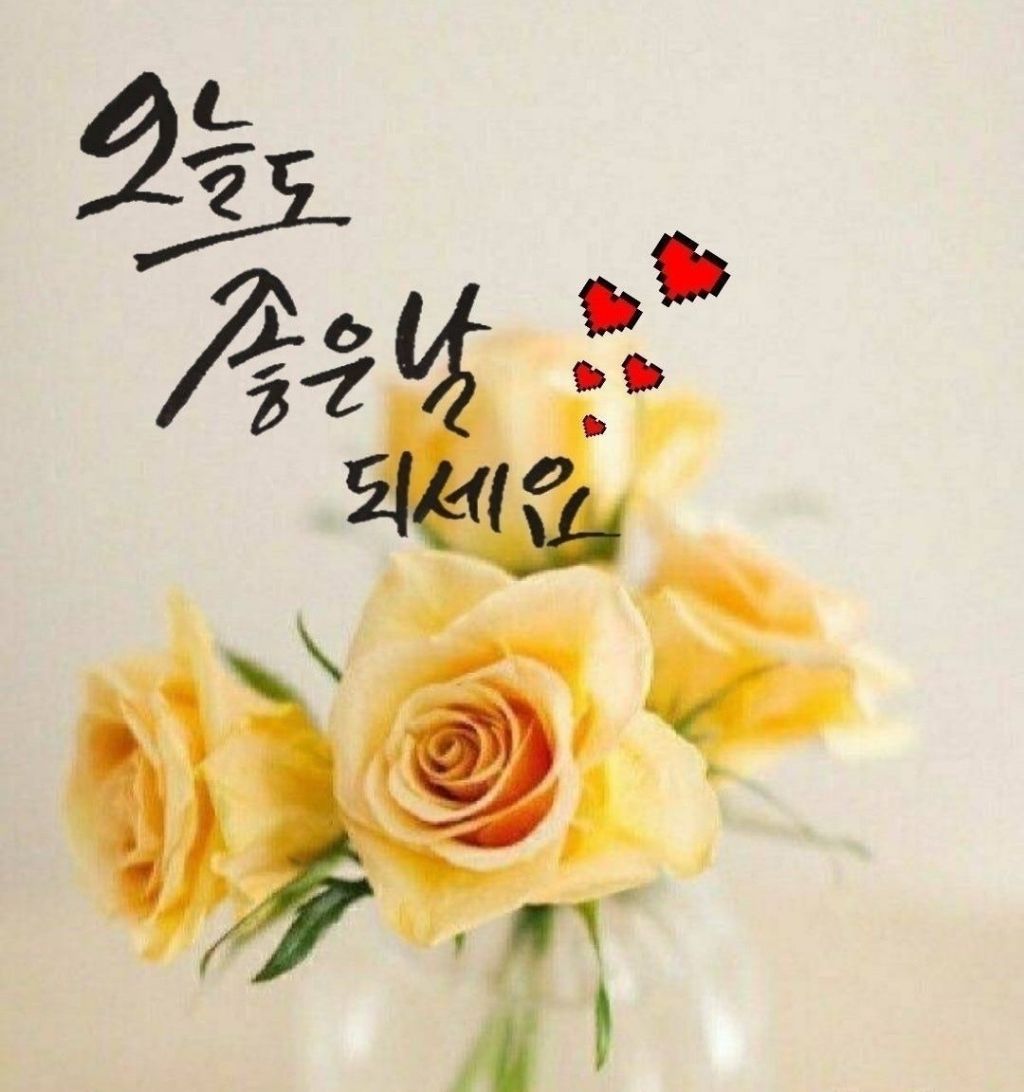 영희네 이미지