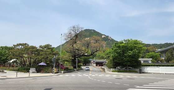 순이네닭백숙 이미지