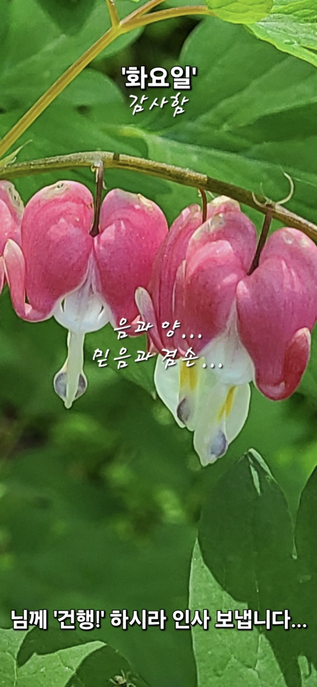 믿음 이미지