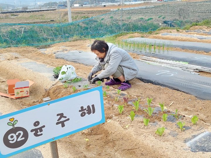 주혜네 이미지